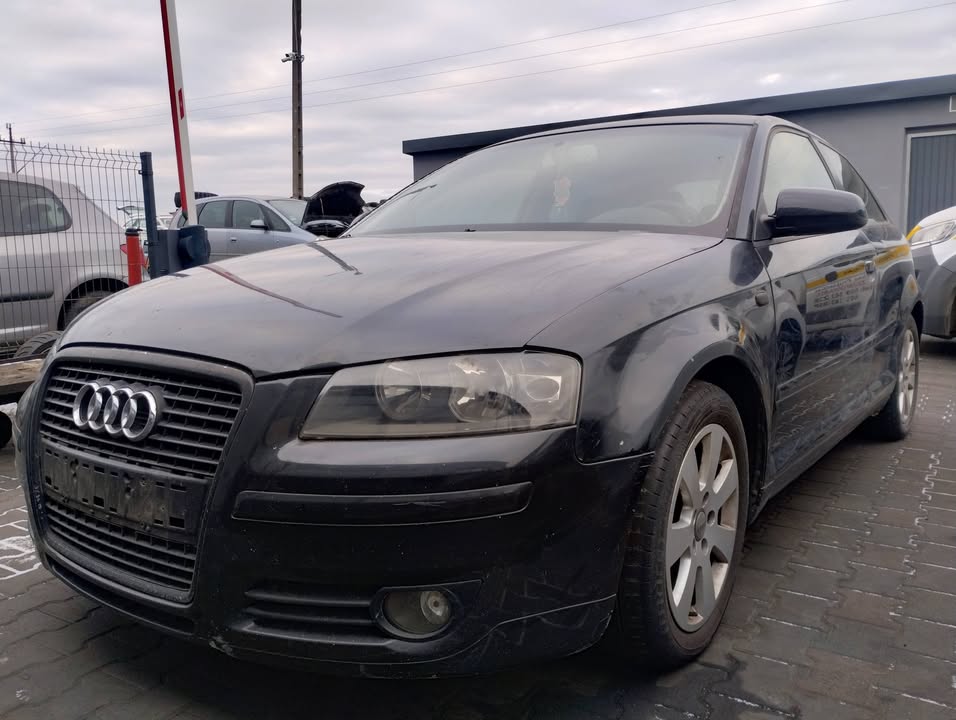 Audi A3 8P 2.0Tdi
